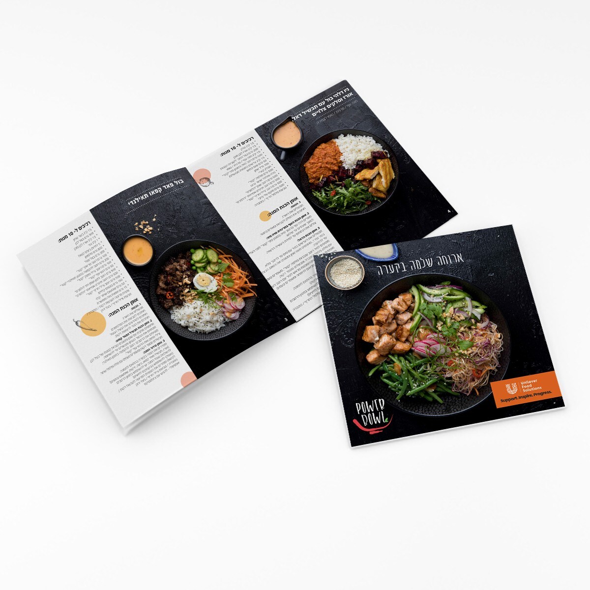 חוברת פאוור בול להורדה